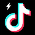 TikTok Lite - Save Data & Fast_39.3.3_APKPure